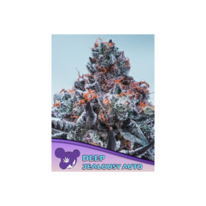 Deep Jealousy Auto - Anesia feminisiert 3er Pack