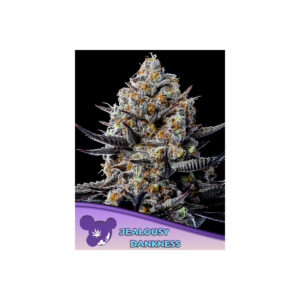 Jealousy Dankness - Anesia feminisiert 3er Pack