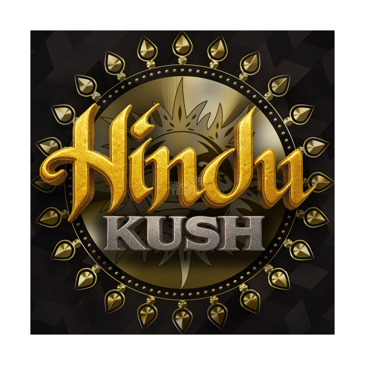 Hindu Kush - Barneys Farm feminisiert 3er Pack