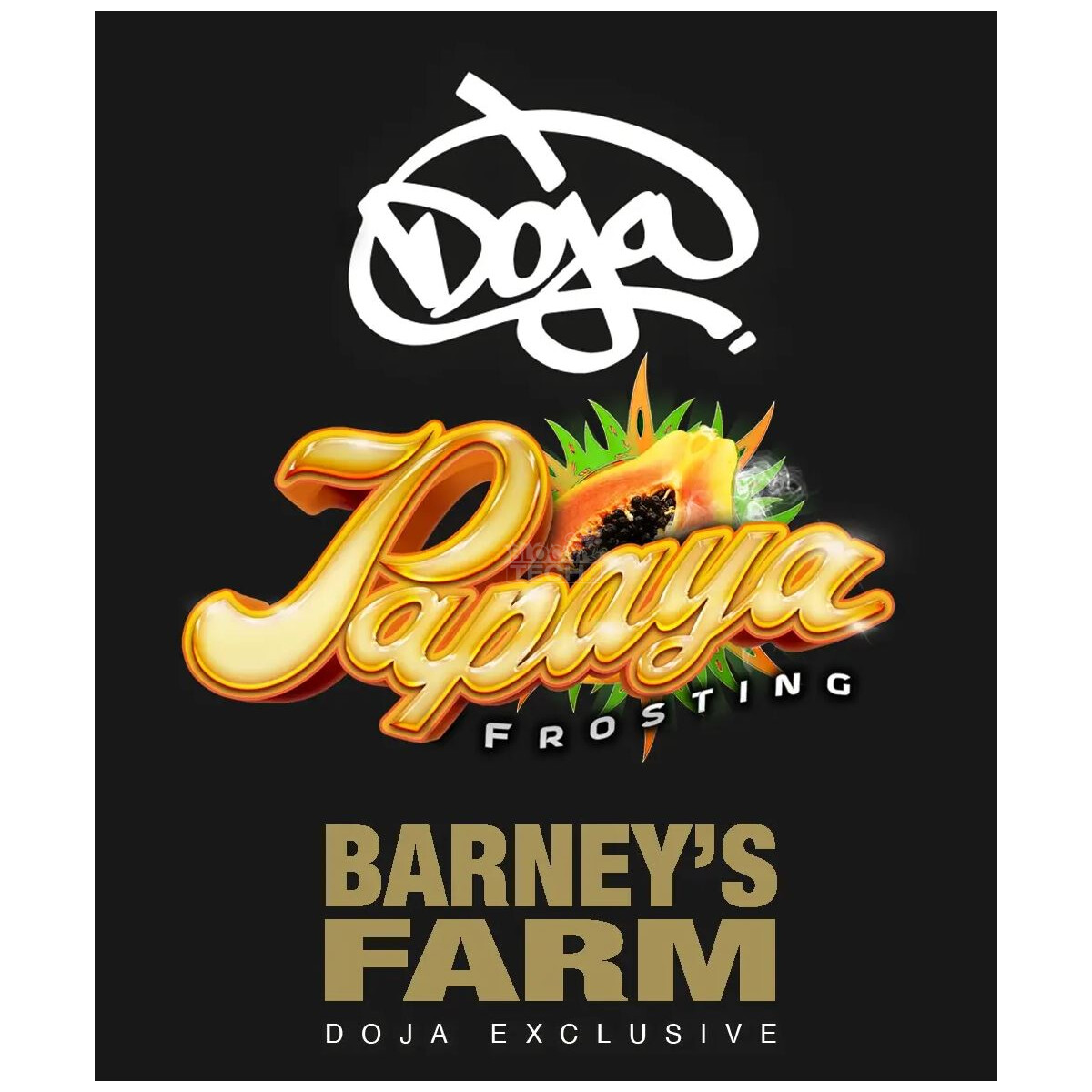 Papaya Frosting Barneys Farm x DOJA feminisiert 3er Pack
