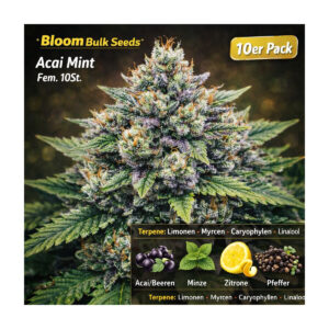 Acai Mint - Bloom Bulk Seeds feminisiert 10er Pack