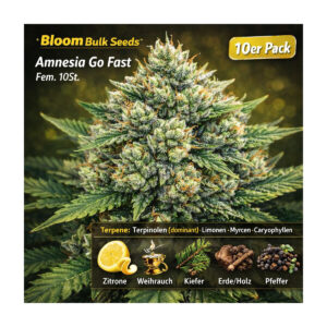 Amnesia Go Fast - Bloom Bulk Seeds feminisiert 10er Pack