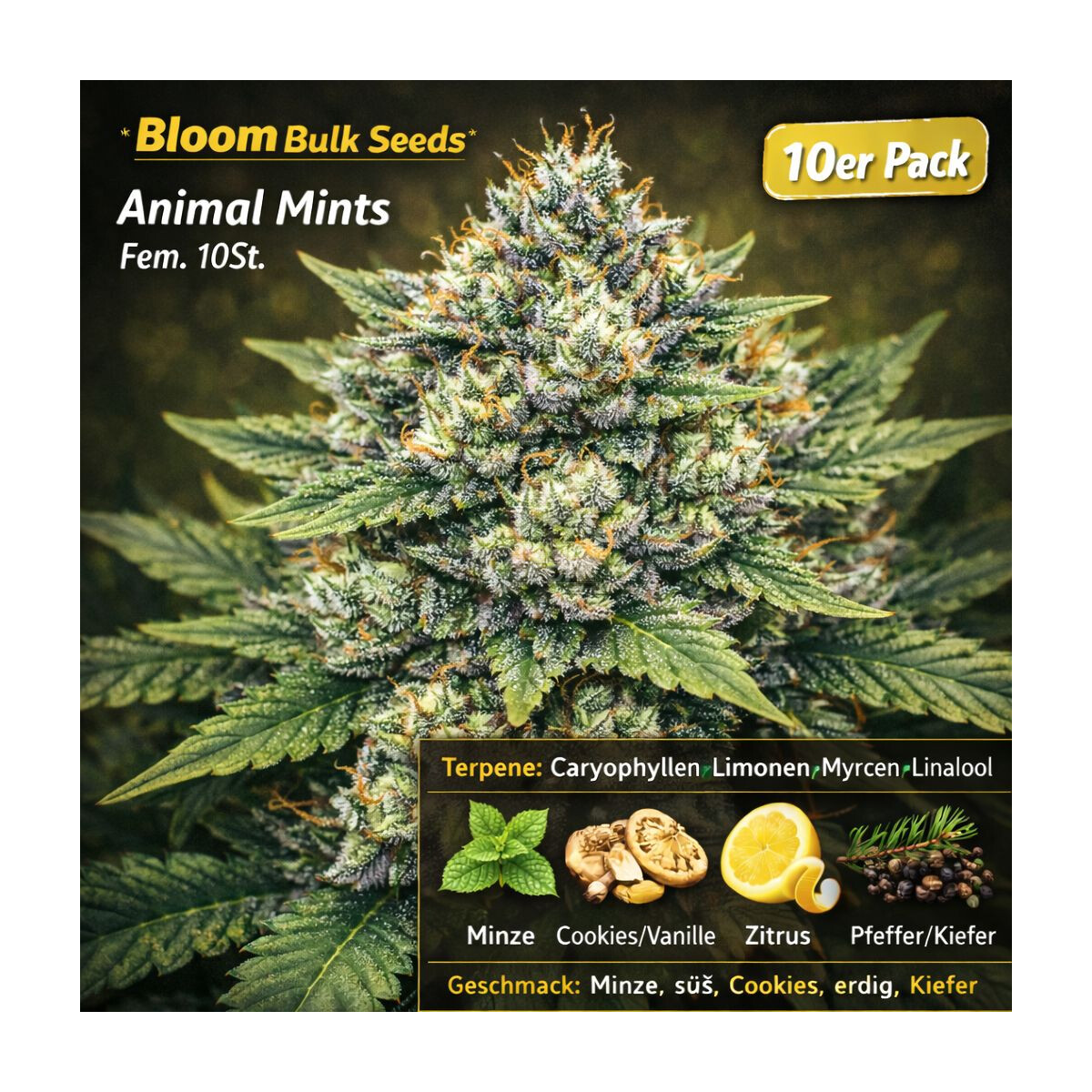 Animal Mints - Bloom Bulk Seeds feminisiert 10er Pack