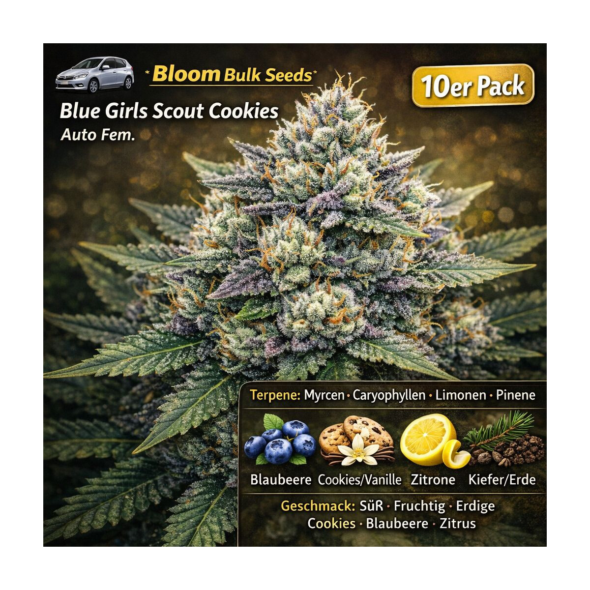 Blue Girls Scout Cookies Auto - Bloom Bulk Seeds feminisiert 10er Pack