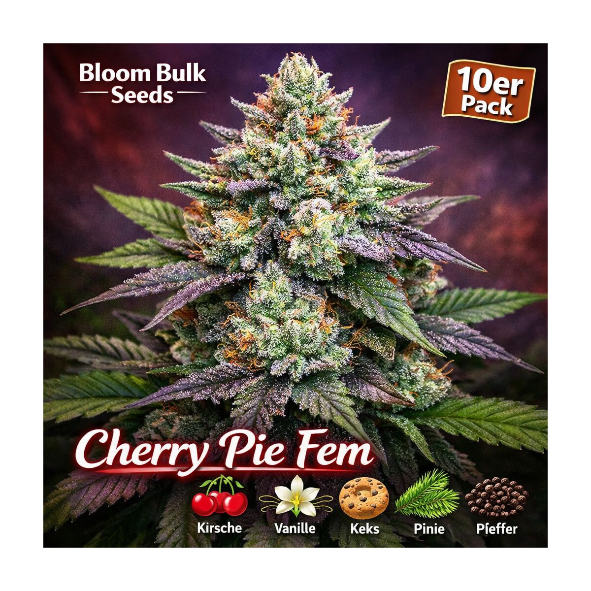 Cherry Pie - Bloom Bulk Seeds feminisiert 10er Pack