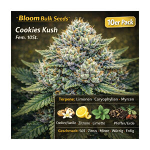 Cookies Kush - Bloom Bulk Seeds feminisiert 10er Pack