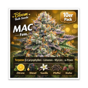 MAC - Bloom Bulk Seeds feminisiert 10er Pack