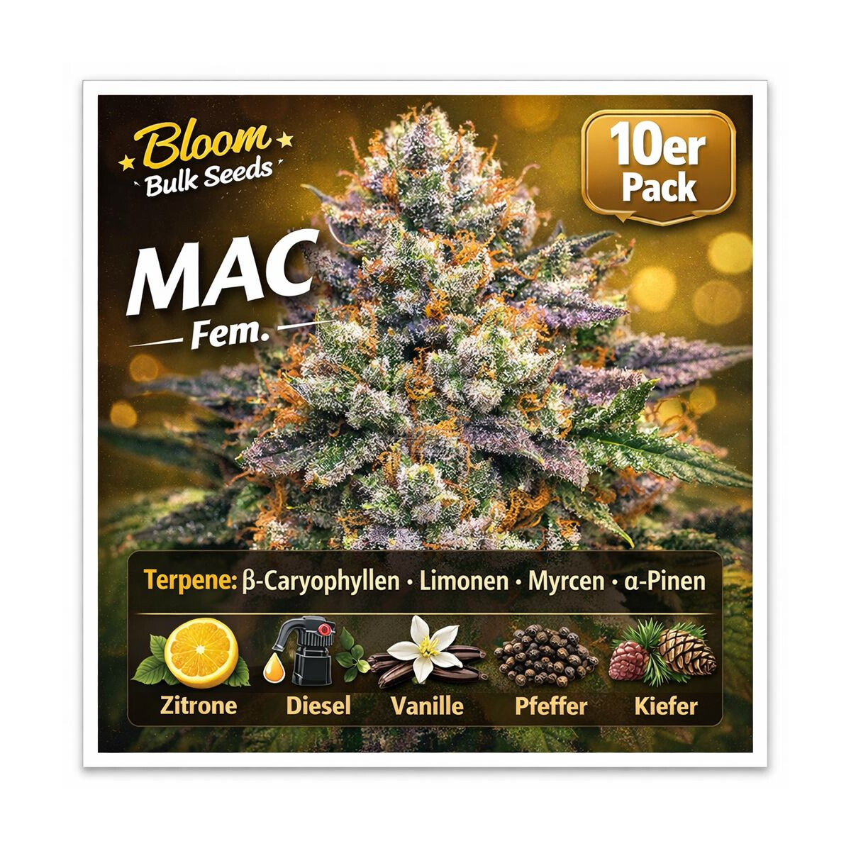MAC - Bloom Bulk Seeds feminisiert 10er Pack
