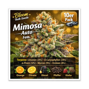 Mimosa Auto - Bloom Bulk Seeds feminisiert 10er Pack