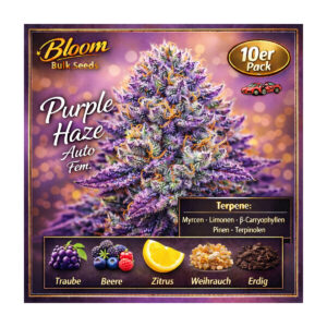 Purple Haze Auto - Bloom Bulk Seeds feminisiert 10er Pack