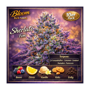 Sherlato - Bloom Bulk Seeds feminisiert 10er Pack