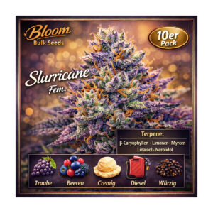 Slurricane - Bloom Bulk Seeds feminisiert 10er Pack