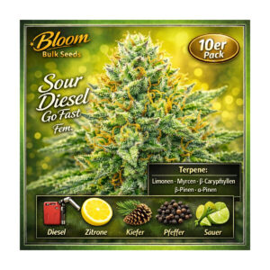 Sour Diesel Go Fast - Bloom Bulk Seeds feminisiert 10er Pack