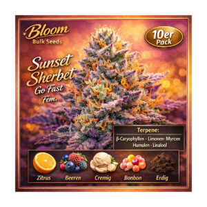 Sunset Sherbet Go Fast - Bloom Bulk Seeds feminisiert 10er Pack