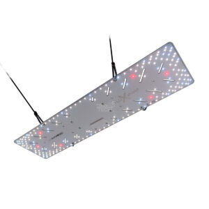 BloomStar FLUXshield 300L - 100W Produktbild