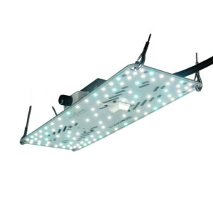 BloomStar FLUXshield Habibi 140 - 50W Wachstum Produktbild