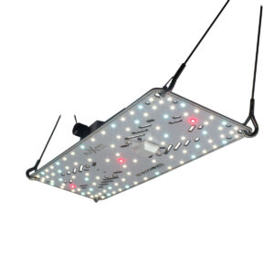 BloomStar FLUXshield Habibi 150 - 50W Vollspektrum Produktbild