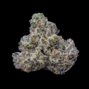 Bogota - Cookies Seeds feminisiert 3er Pack
