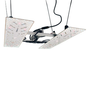 BloomStar Wingman 660L Produktbild