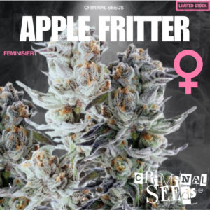 Apple Fritter - Criminal Seeds feminisiert 3er Pack