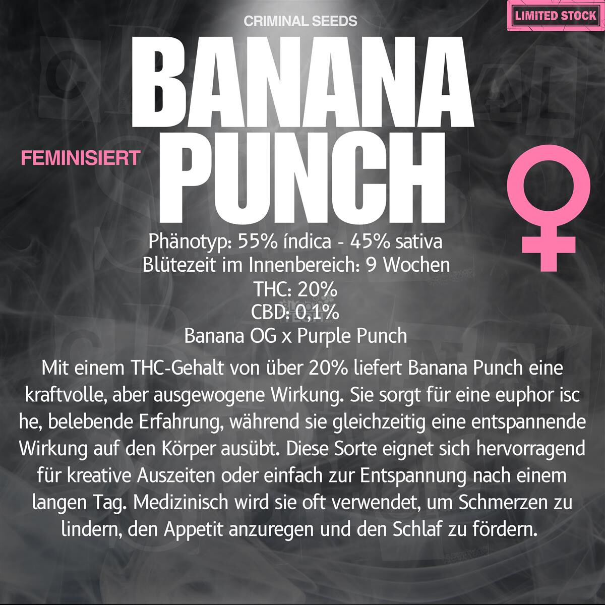 Banana Punch - Criminal Seeds feminisiert 3er Pack