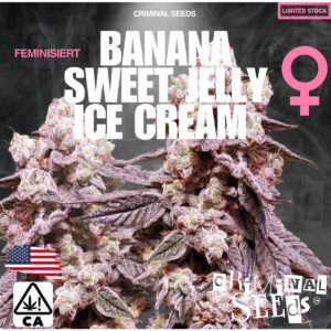 Banana Sweet Jelly Ice Cream x Cali - Criminal Seeds feminisiert 3er Pack