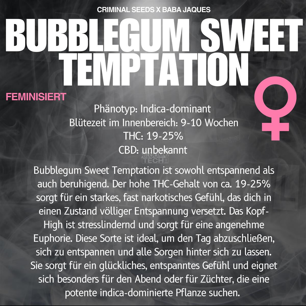 Bubblegum Sweet Temptation - Criminal Seeds feminisiert 3er Pack