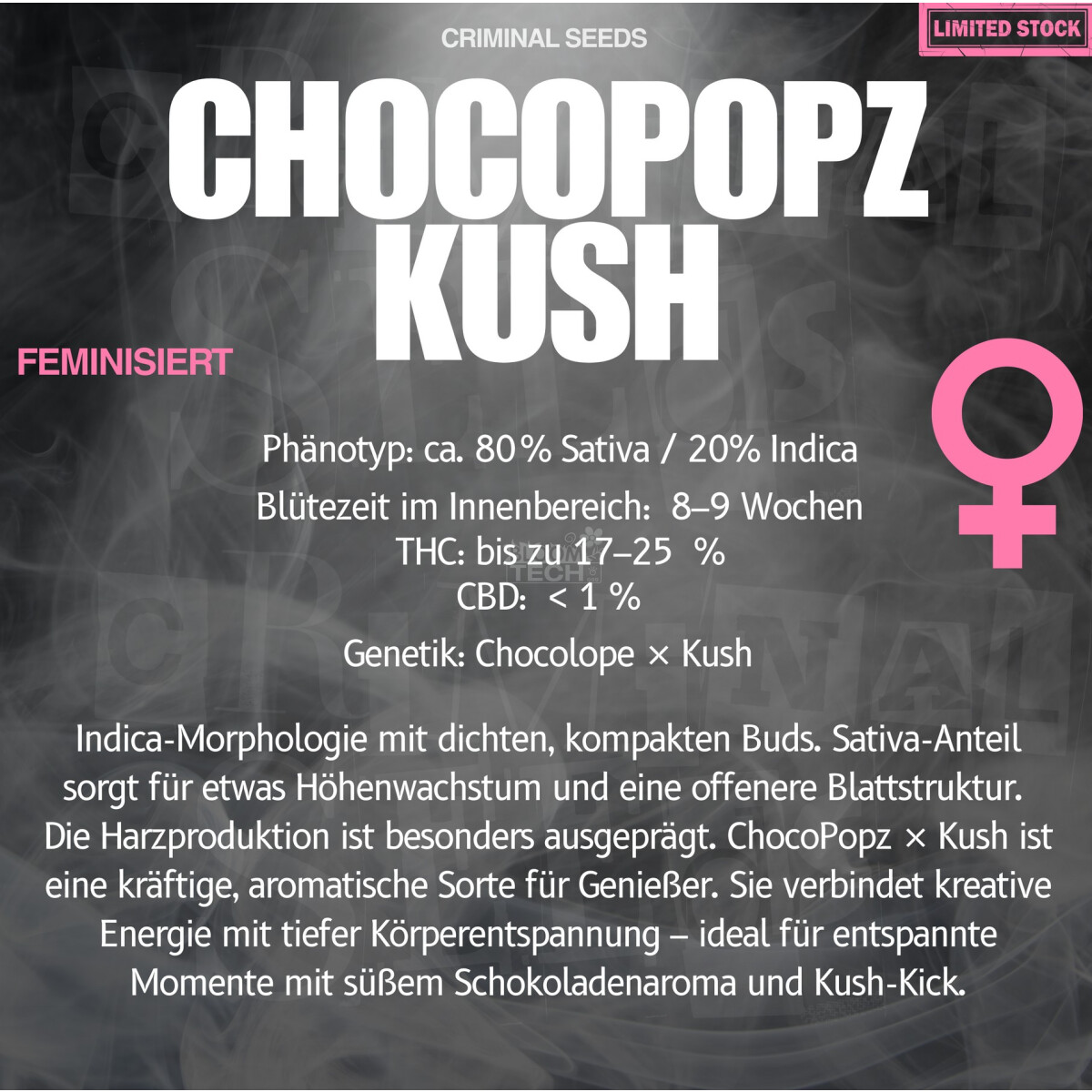 Chocopopz Kush - Criminal Seeds feminisiert 3er Pack