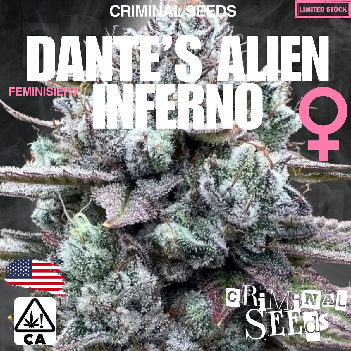 Dantes Alien Inferno x Cali - Criminal Seeds feminisiert 3er Pack