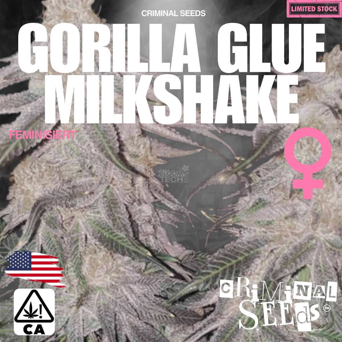 Gorilla Glue Milkshake X Cali - Criminal Seeds feminisiert 3er Pack