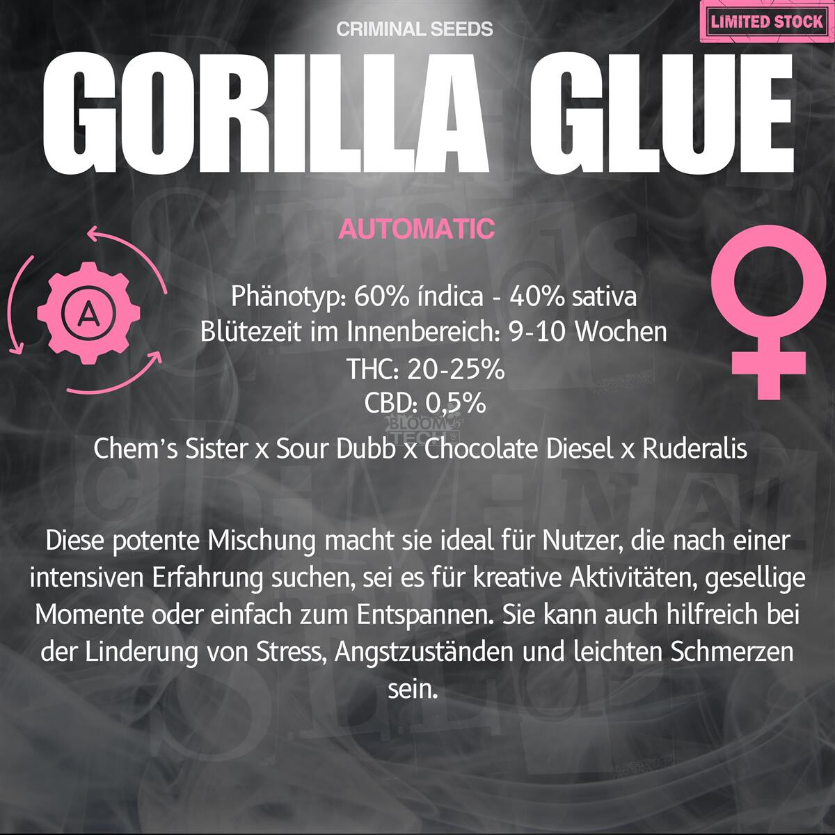 Gorilla Glue x Cali Auto - Criminal Seeds feminisiert 3er Pack