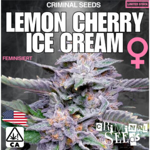 Lemon Cherry Ice Cream x Cali - Criminal Seeds feminisiert 3er Pack