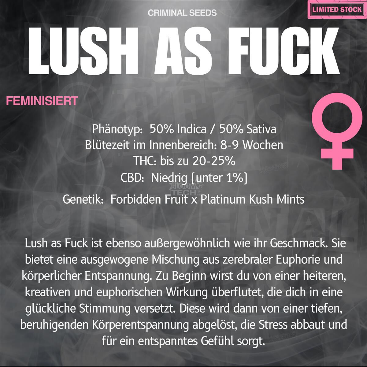 Lush as Fuck x Cali - Criminal Seeds feminisiert 3er Pack