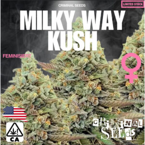 Milky Way Kush x Cali - Criminal Seeds feminisiert 3er Pack