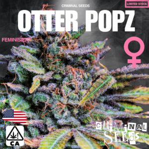 Otter Popz x Cali - Criminal Seeds feminisiert 3er Pack