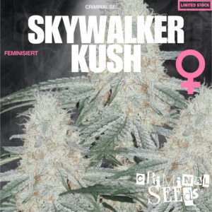 Skywalker Kush - Criminal Seeds feminisiert 3er Pack