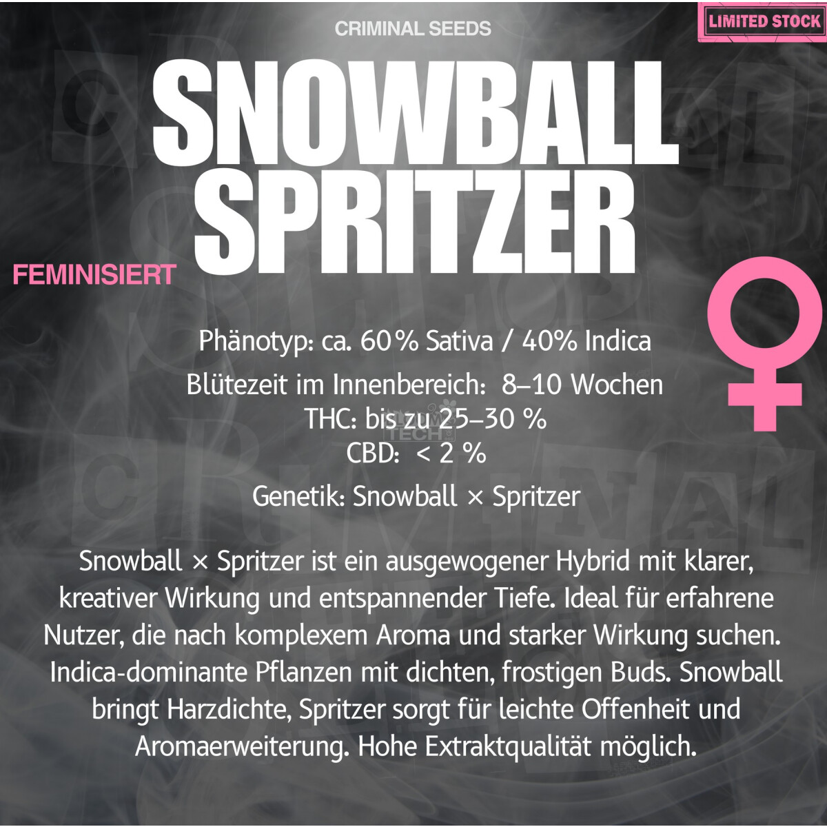 Snowball Spritzer - Criminal Seeds feminisiert 3er Pack