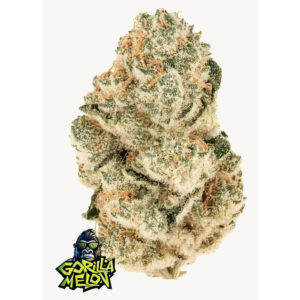 Gorilla Melon - Fast Buds feminisiert 3er Pack