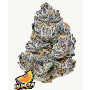 Rainbow Melon - Fast Buds feminisiert 3er Pack