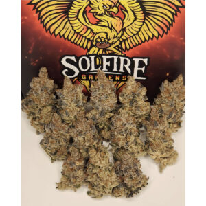 FX 3 - Solfire Gardens feminisiert 6er Pack