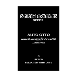 Gangsta Sour Og Auto - Sticky Experts feminisiert 6er Pack