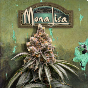 Mona Lisa - T.H. Seeds feminisiert 6er Pack